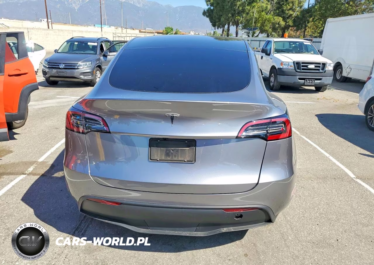 2025 Tesla Model Y VIN:7SAYGDED0SF231067 - 6