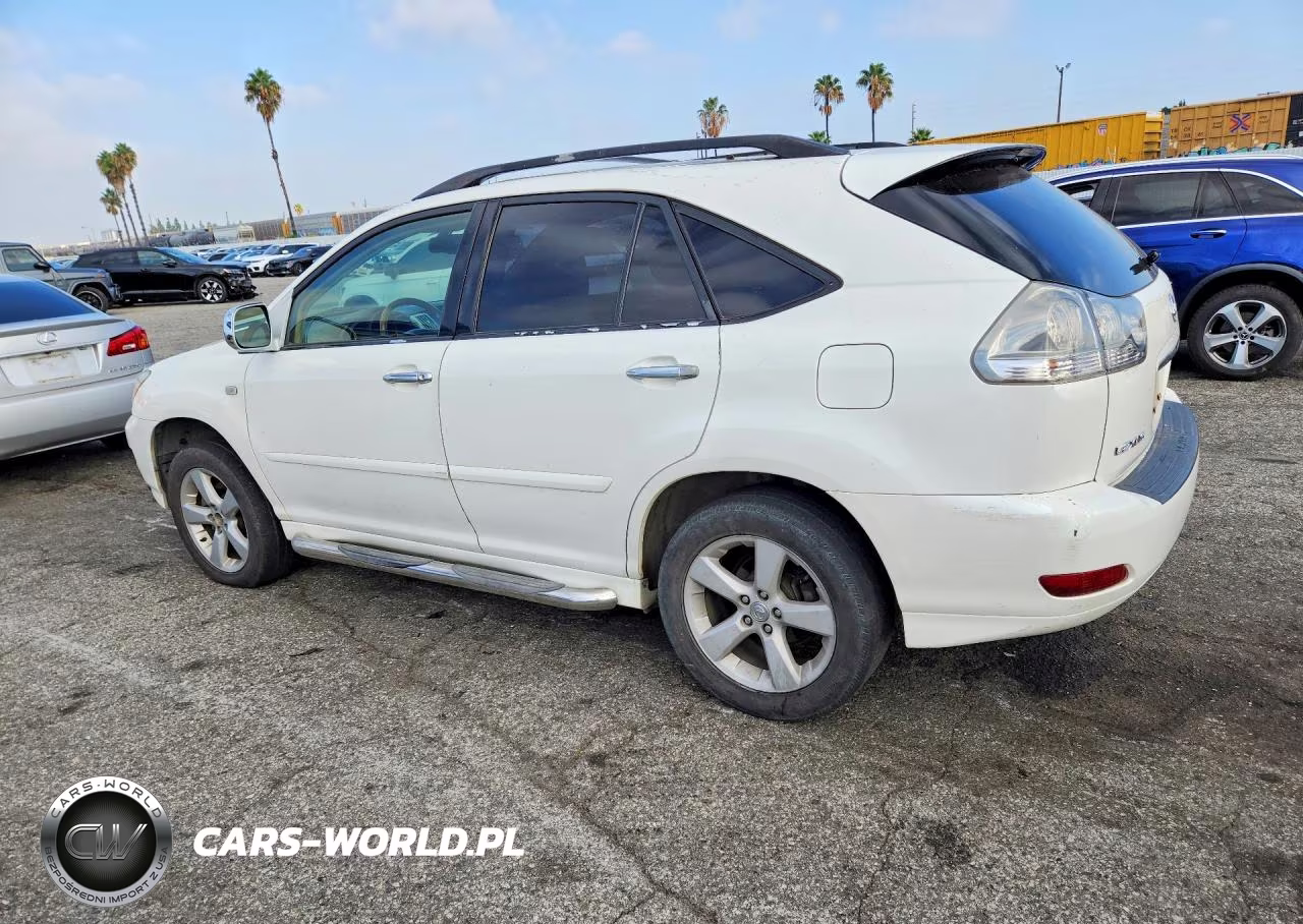 2004 Lexus Rx 330 VIN:JTJGA31U740036026 - 2