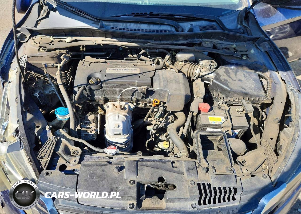 2012 Honda Accord Exl VIN:1HGCR2F50DA053347 - 11