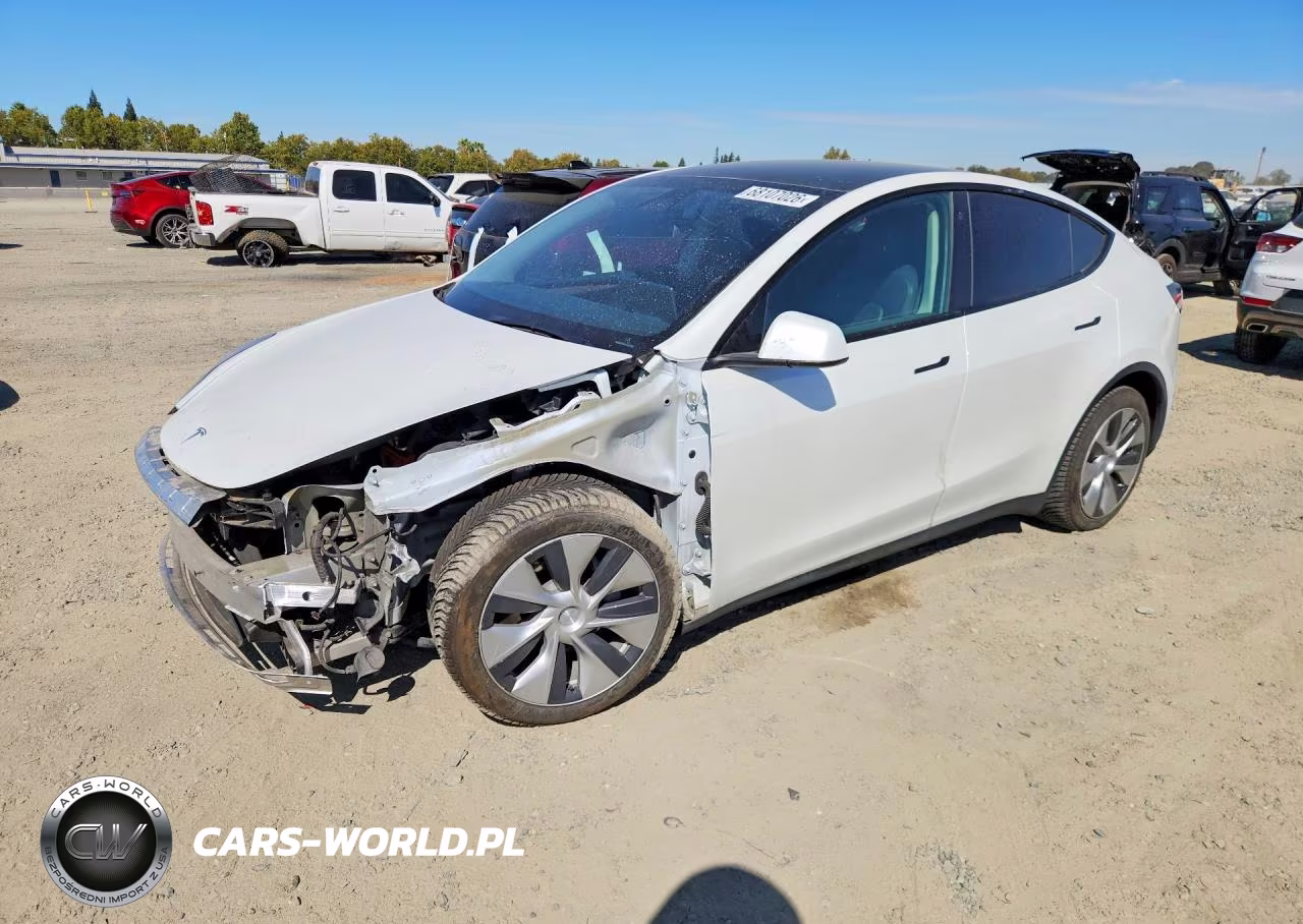 2023 Tesla Model Y VIN:7SAYGDEE2PF671002 - 1