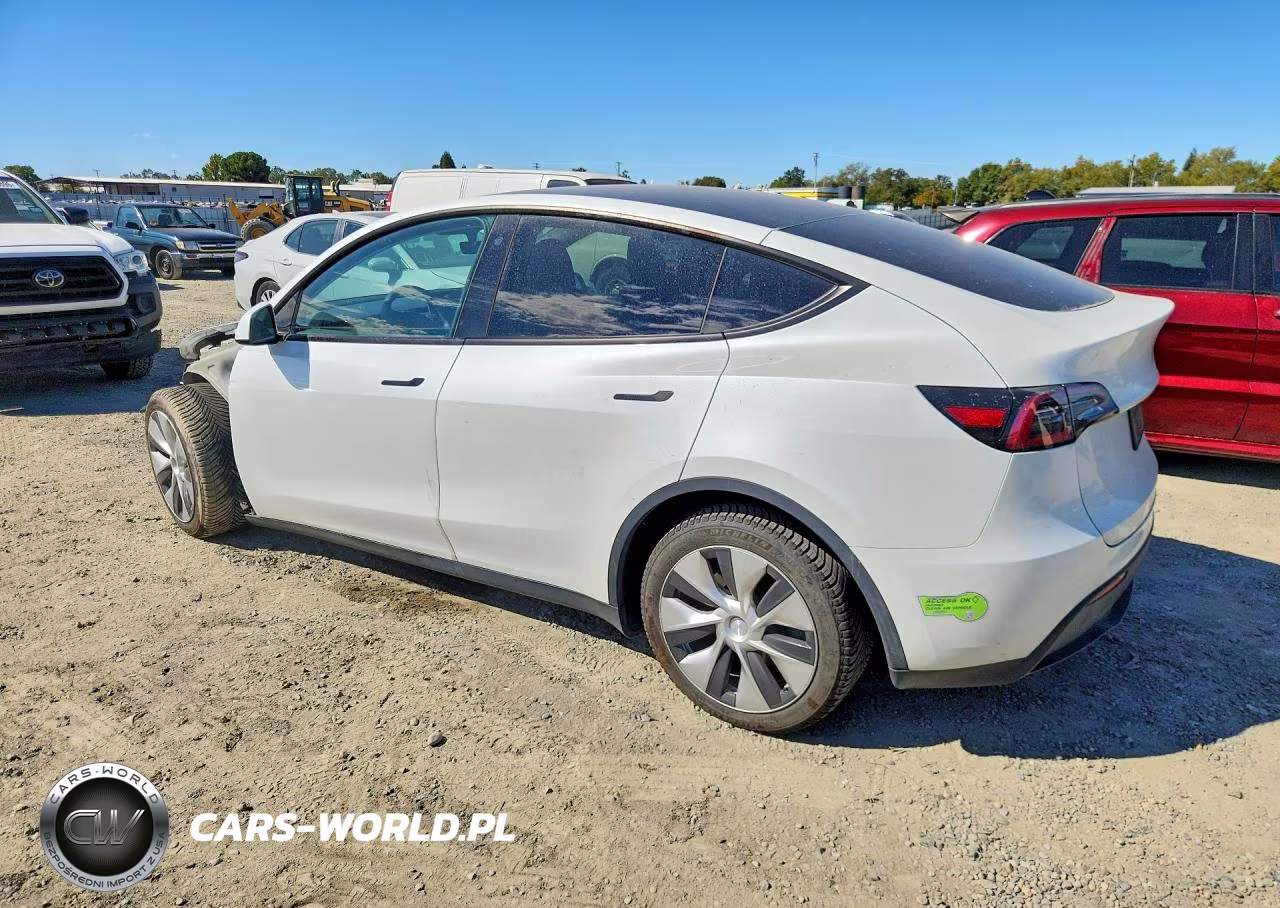 2023 Tesla Model Y VIN:7SAYGDEE2PF671002 - 2