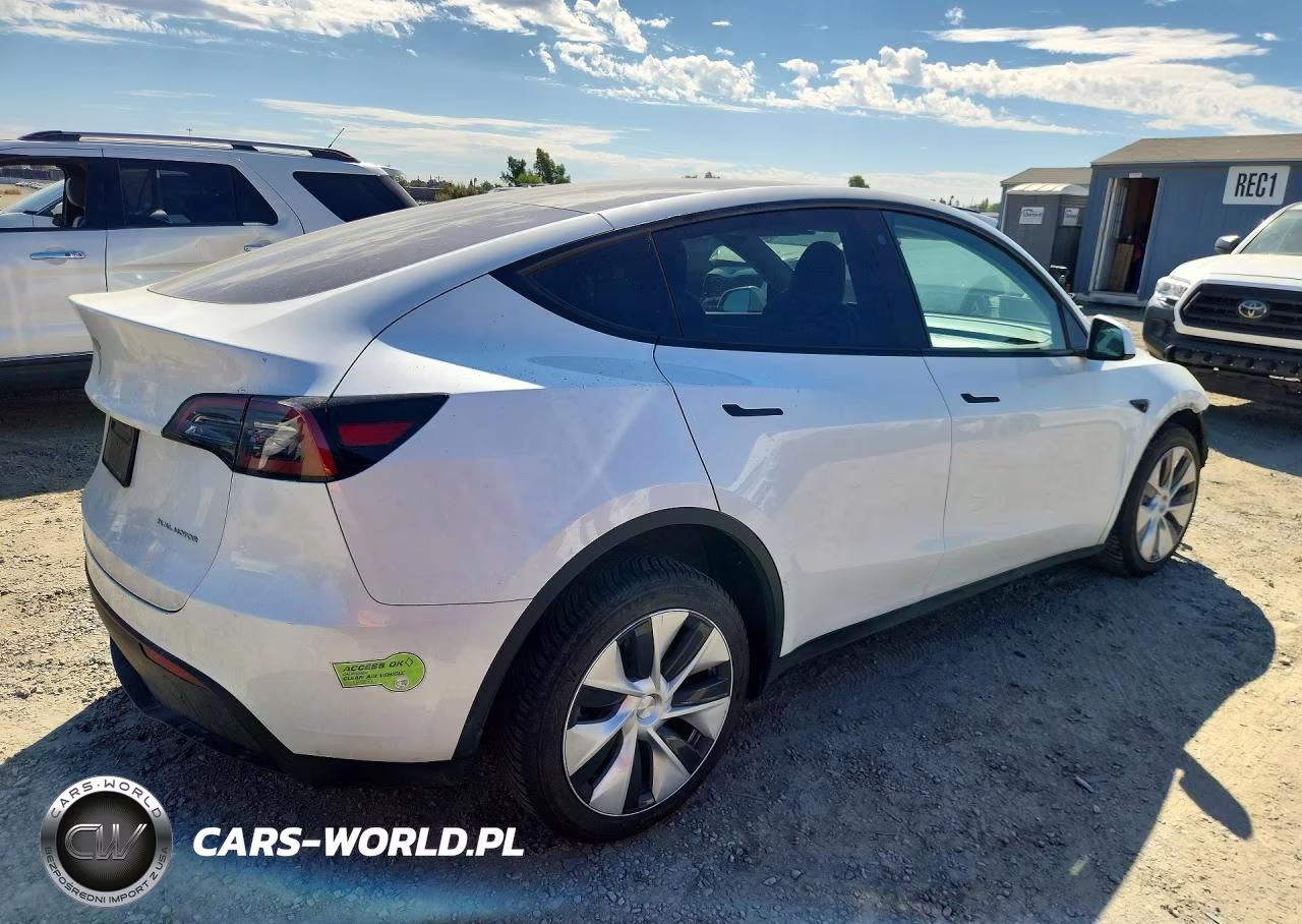 2023 Tesla Model Y VIN:7SAYGDEE2PF671002 - 3