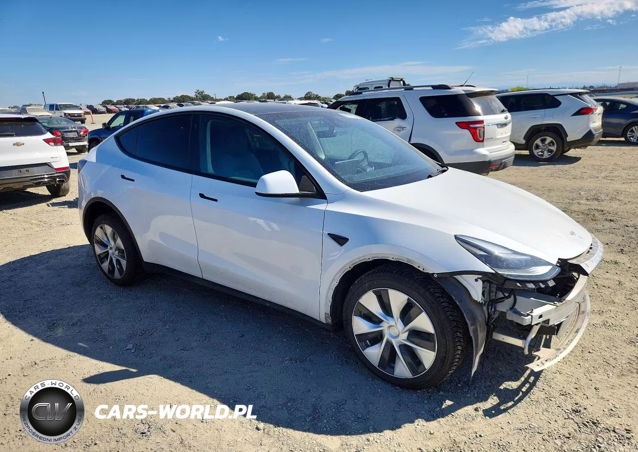 2023 Tesla Model Y VIN:7SAYGDEE2PF671002 - 4