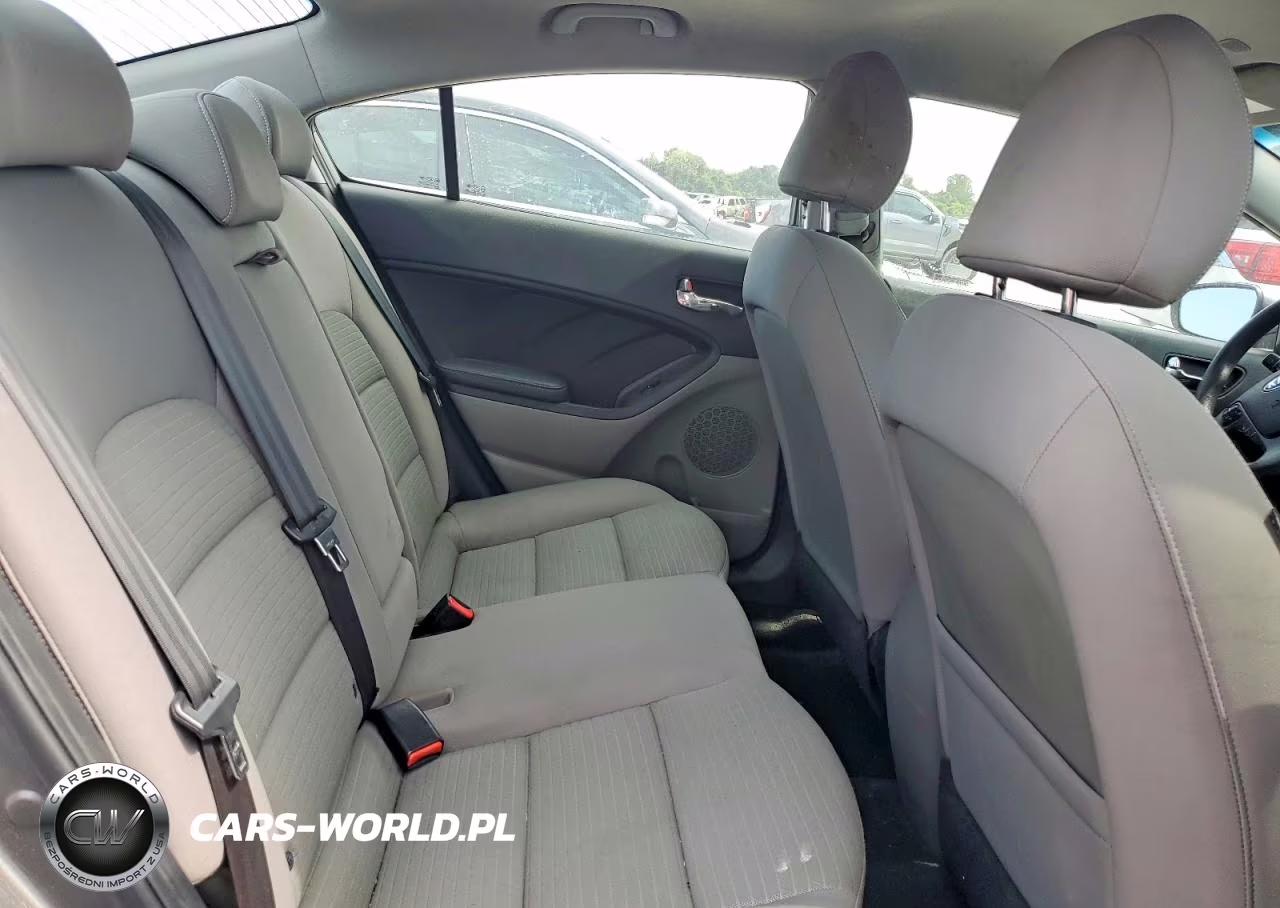 2016 Kia Forte Lx VIN:KNAFX4A6XG5468036 - 10
