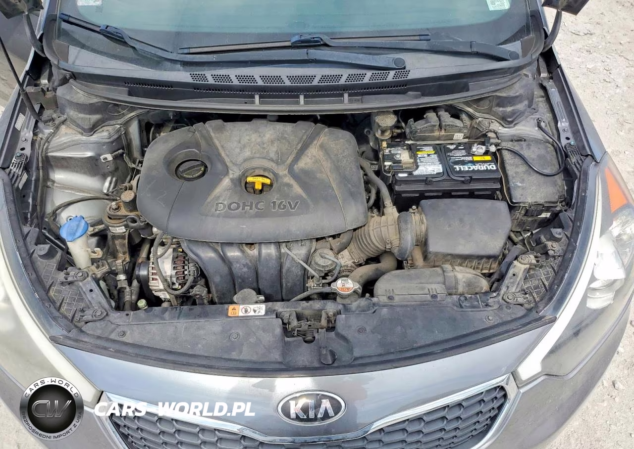 2016 Kia Forte Lx VIN:KNAFX4A6XG5468036 - 11