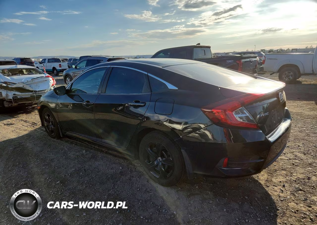 2016 Honda Civic Lx VIN:19XFC2F50GE097041 - 2
