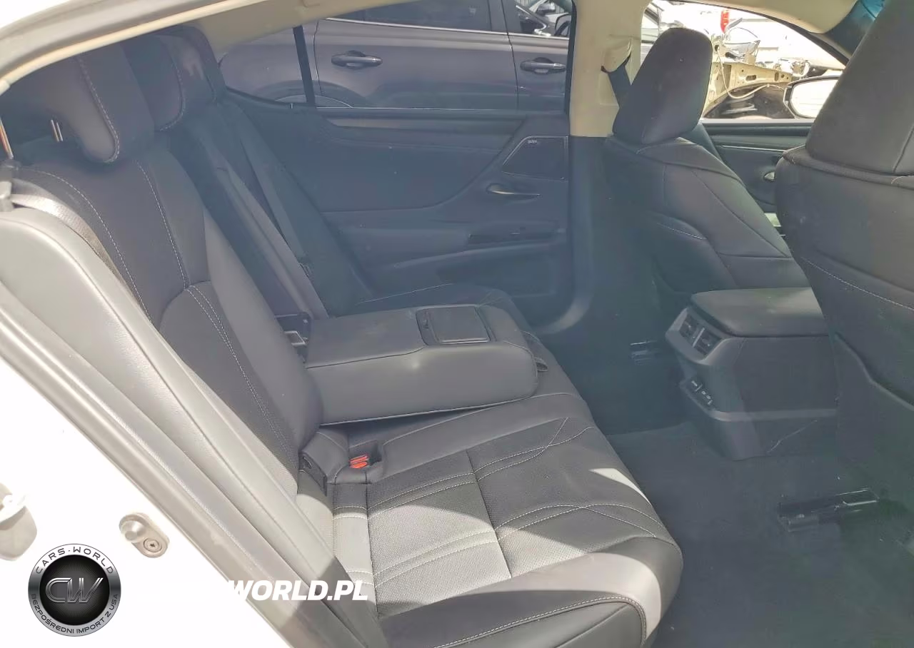 2025 Lexus Es 300H Luxury VIN:58AEA1C13SU076597 - 10
