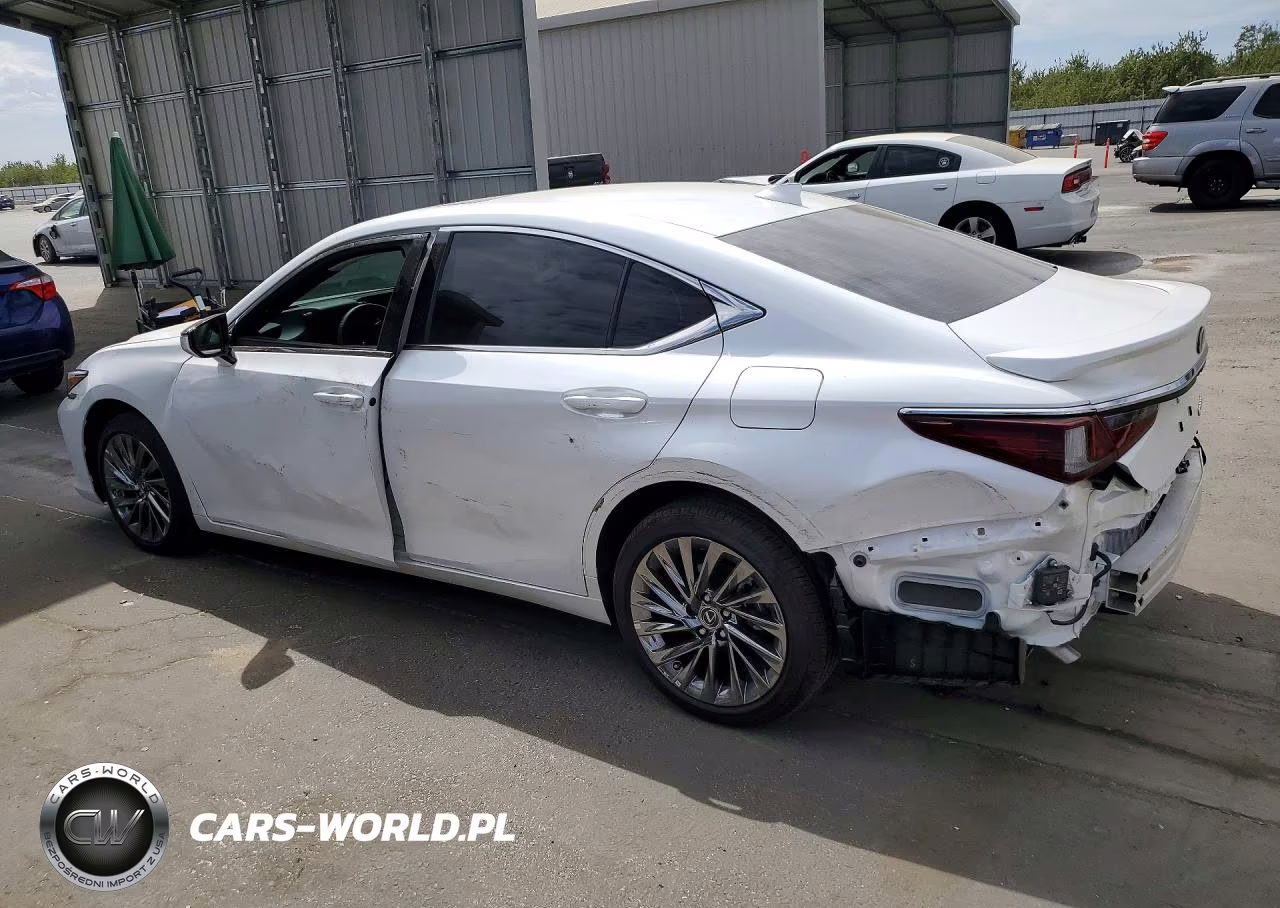 2025 Lexus Es 300H Luxury VIN:58AEA1C13SU076597 - 2