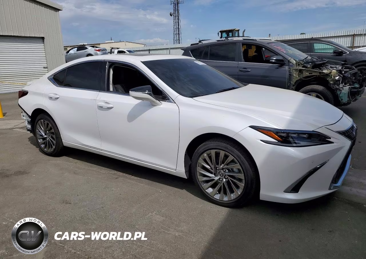 2025 Lexus Es 300H Luxury VIN:58AEA1C13SU076597 - 4
