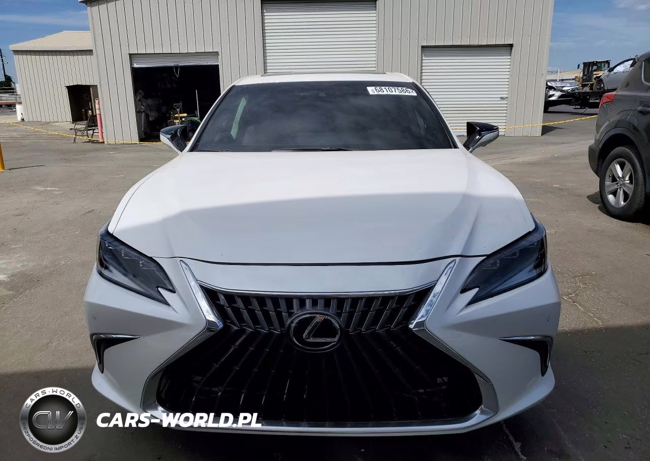 2025 Lexus Es 300H Luxury VIN:58AEA1C13SU076597 - 5