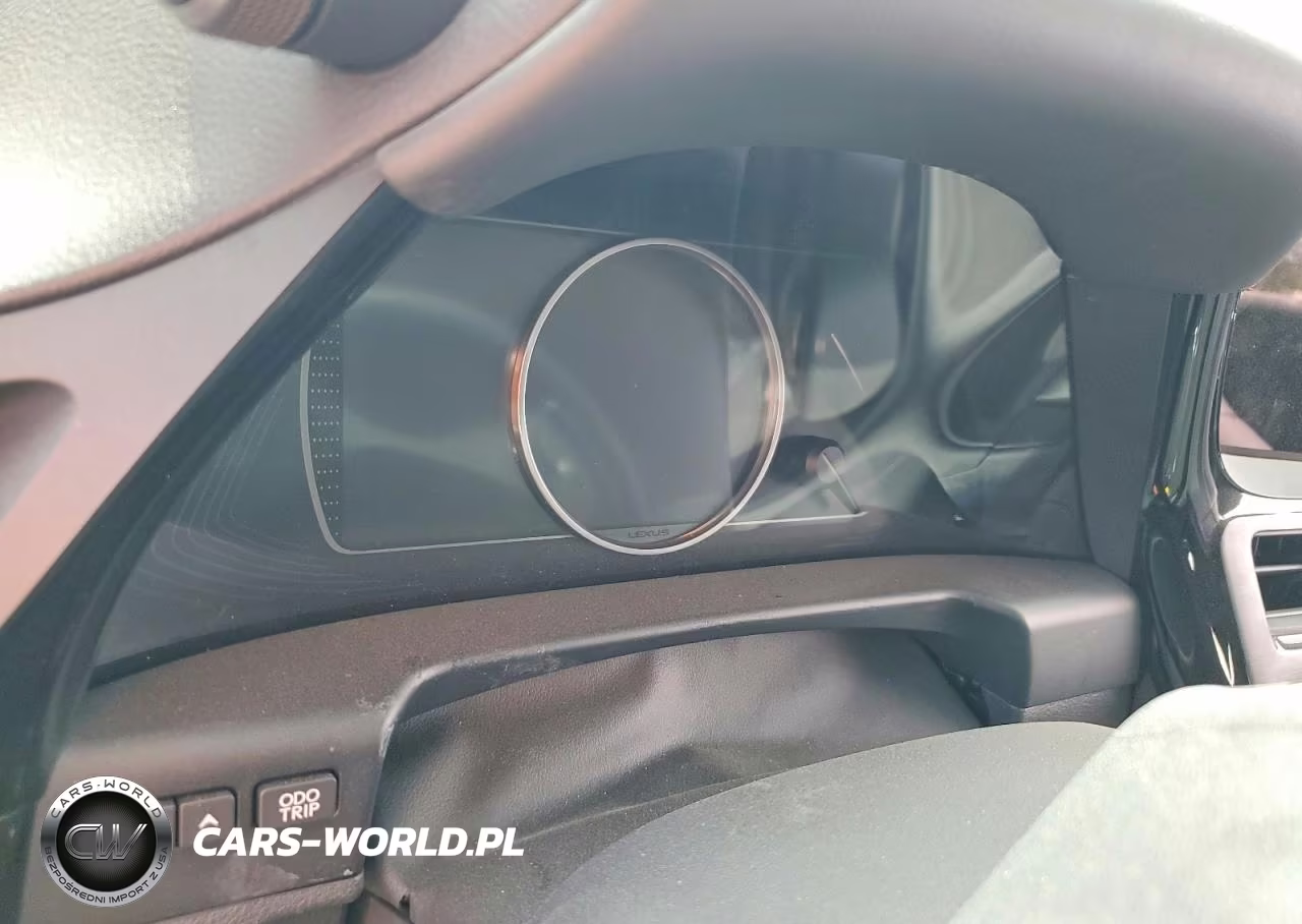 2025 Lexus Es 300H Luxury VIN:58AEA1C13SU076597 - 9