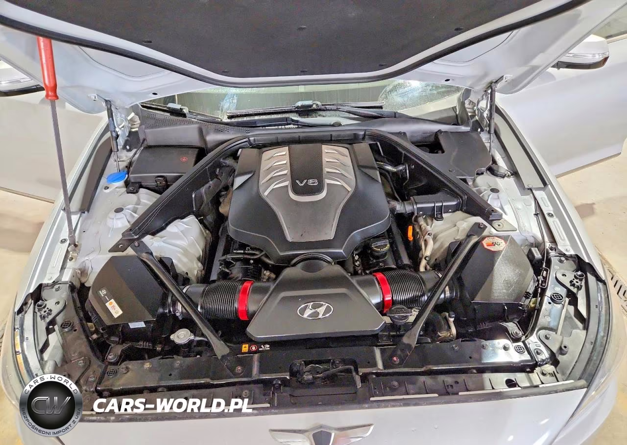 2015 Hyundai Genesis 5.0L VIN:KMHGN4JF7FU064463 - 11