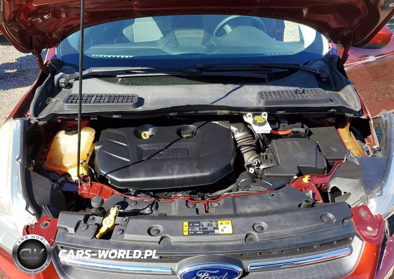 2014 Ford Escape Se VIN:1FMCU9G95EUD88087 - 12