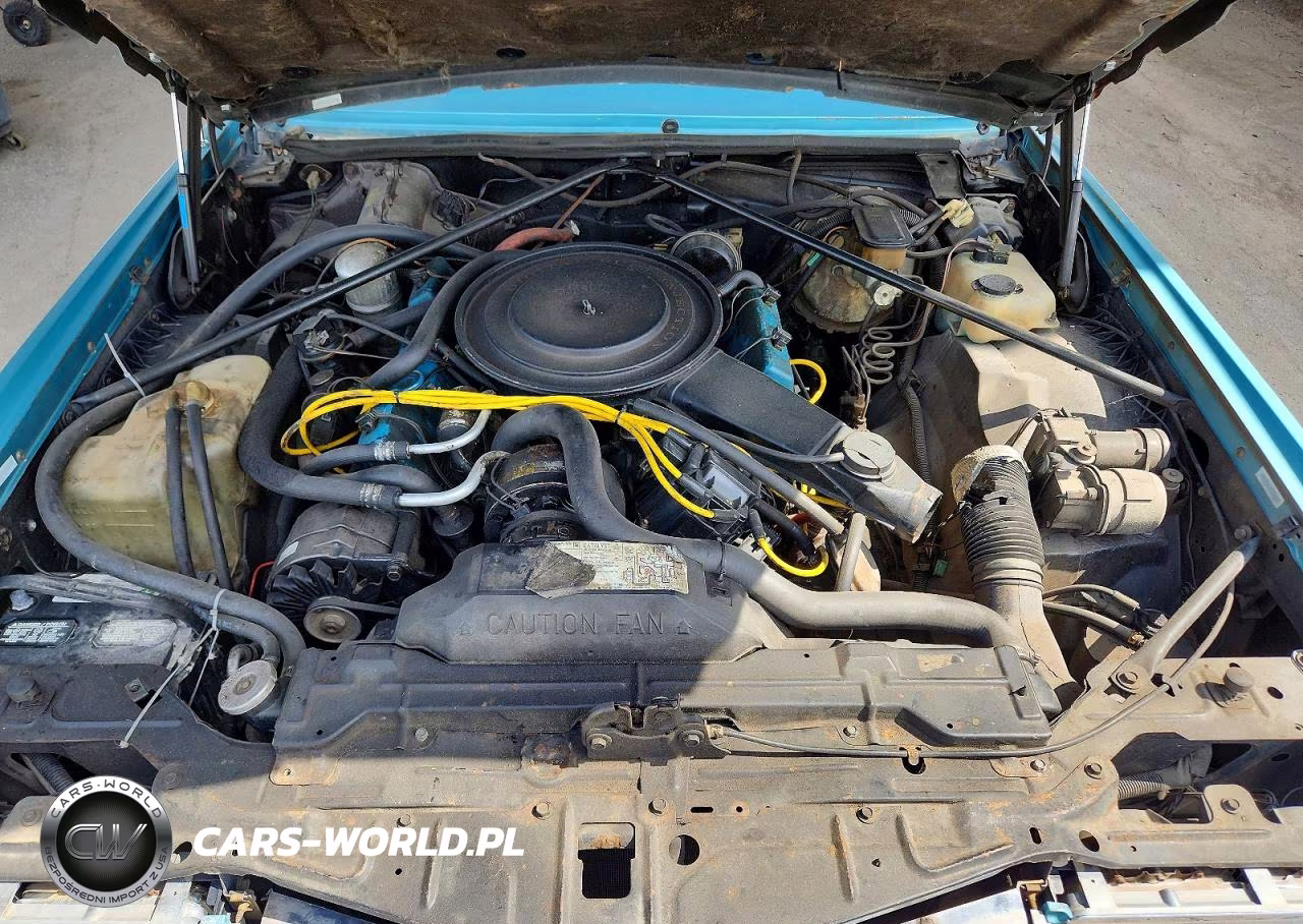 1981 Cadillac Eldorado VIN:1G6AL5790BE607733 - 11