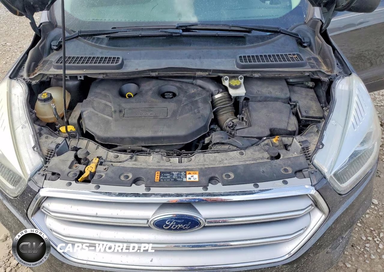 2017 Ford Escape Se VIN:1FMCU0G95HUA92289 - 12