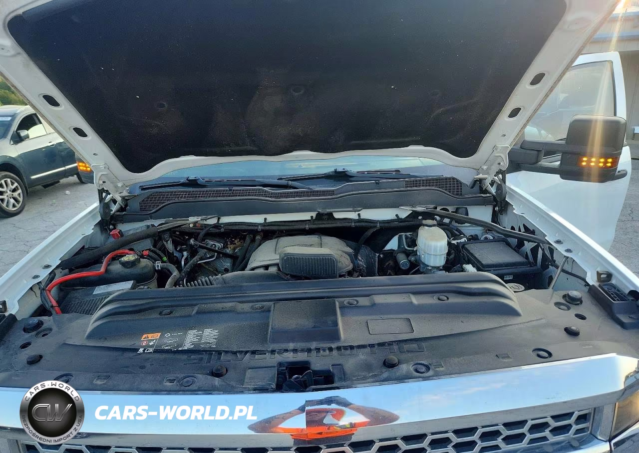 2019 Chevrolet Silverado K2500 Heavy Duty VIN:2GC2KREGXK1182097 - 11