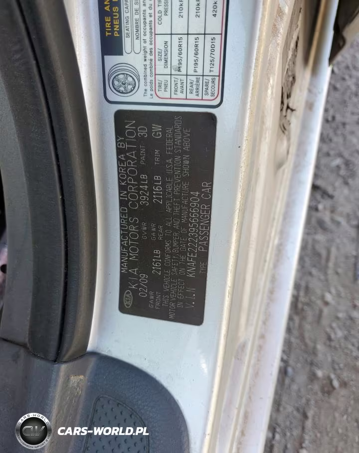 2009 Kia Spectra Ex VIN:KNAFE222395666904 - 12