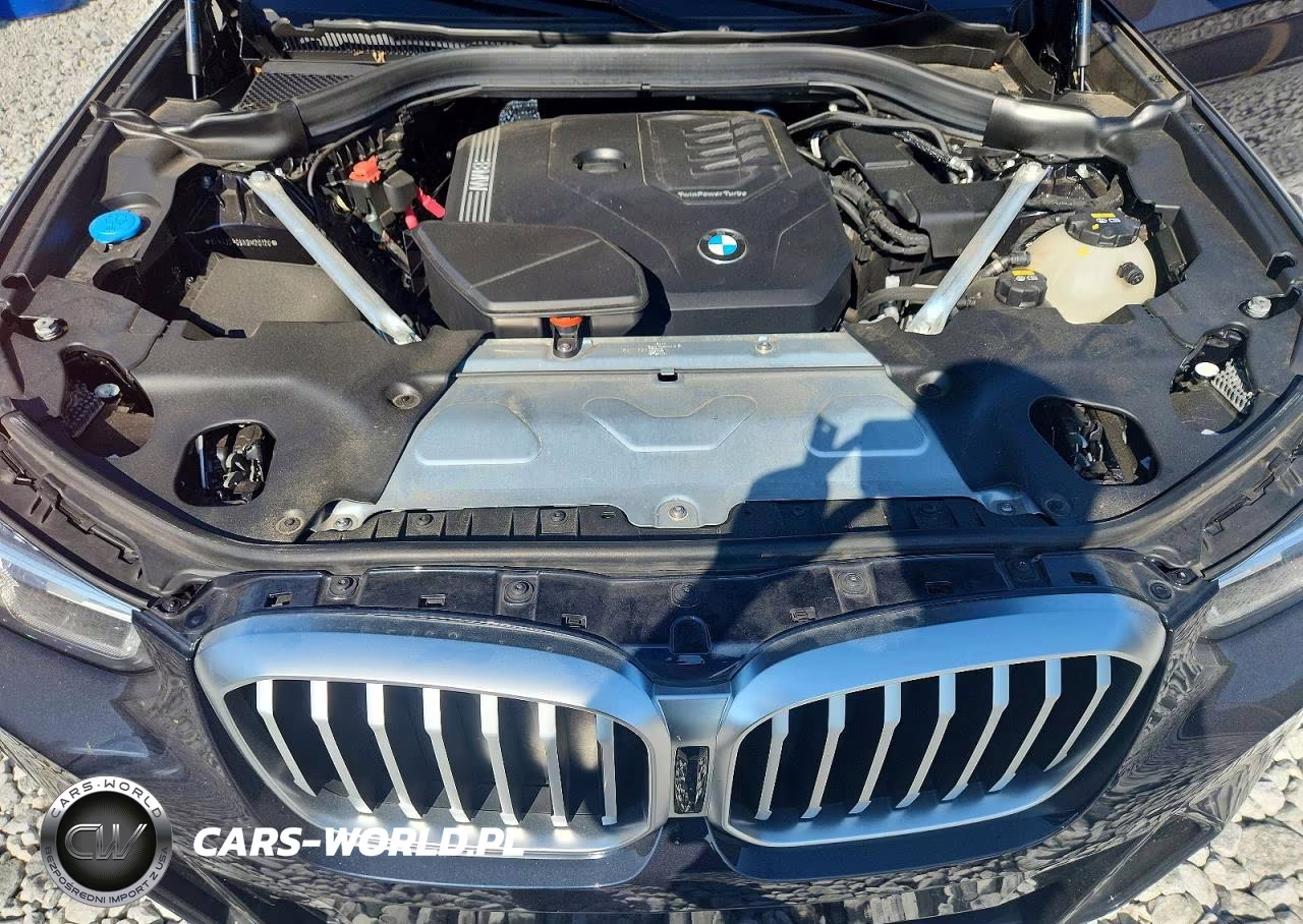 2022 BMW X3 Sdrive30I VIN:5UX43DP05N9M20120 - 11