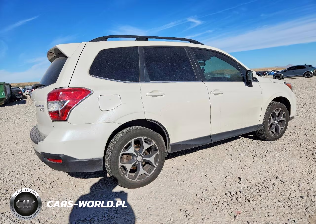 2016 Subaru Forester 2.0Xt Premium VIN:JF2SJGDC6GH447545 - 3
