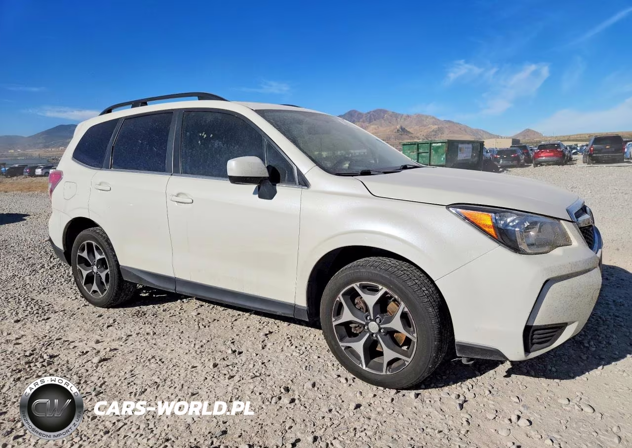 2016 Subaru Forester 2.0Xt Premium VIN:JF2SJGDC6GH447545 - 4