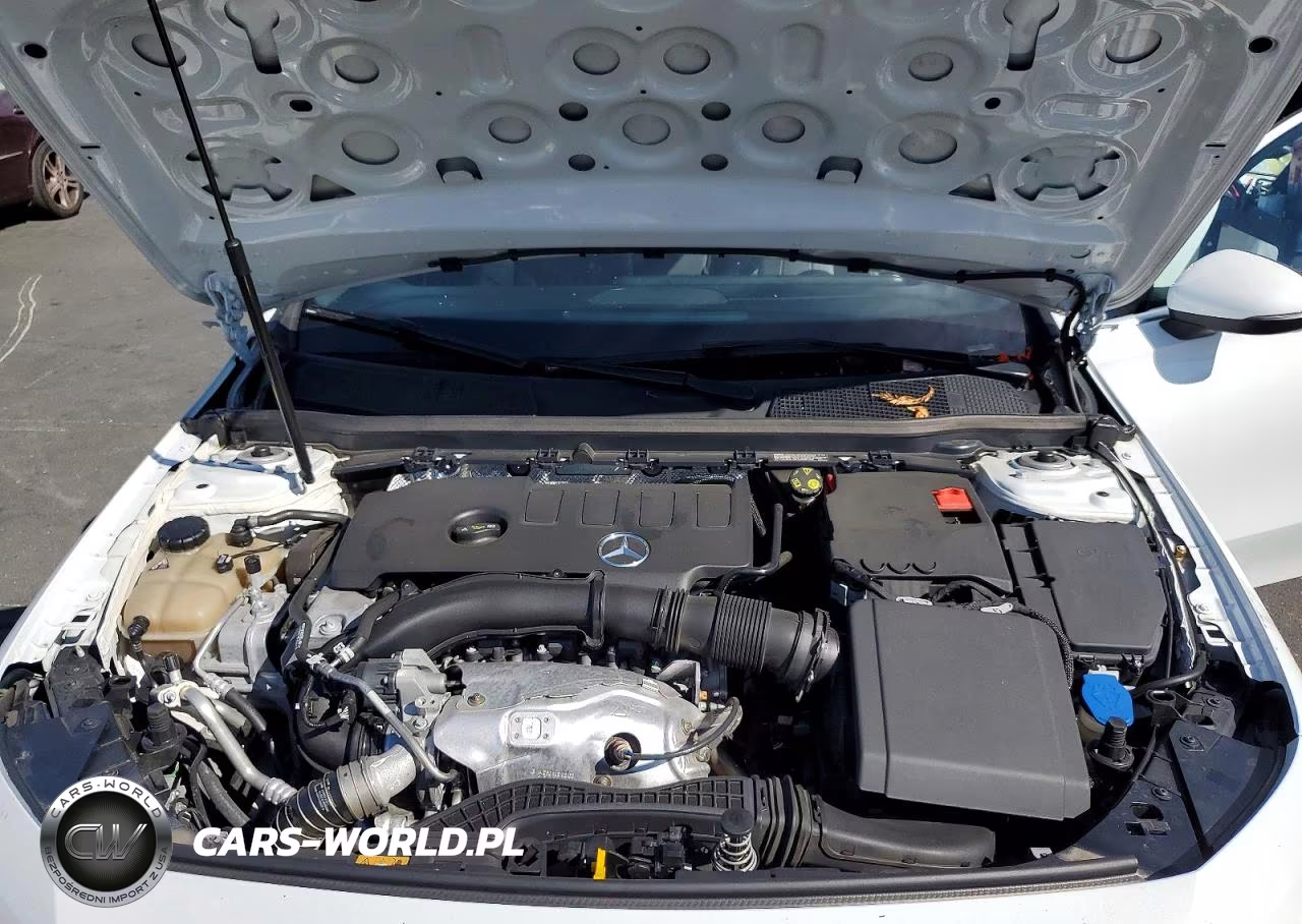 2019 Mercedes-Benz A 220 VIN:WDD3G4EB1KW027658 - 11