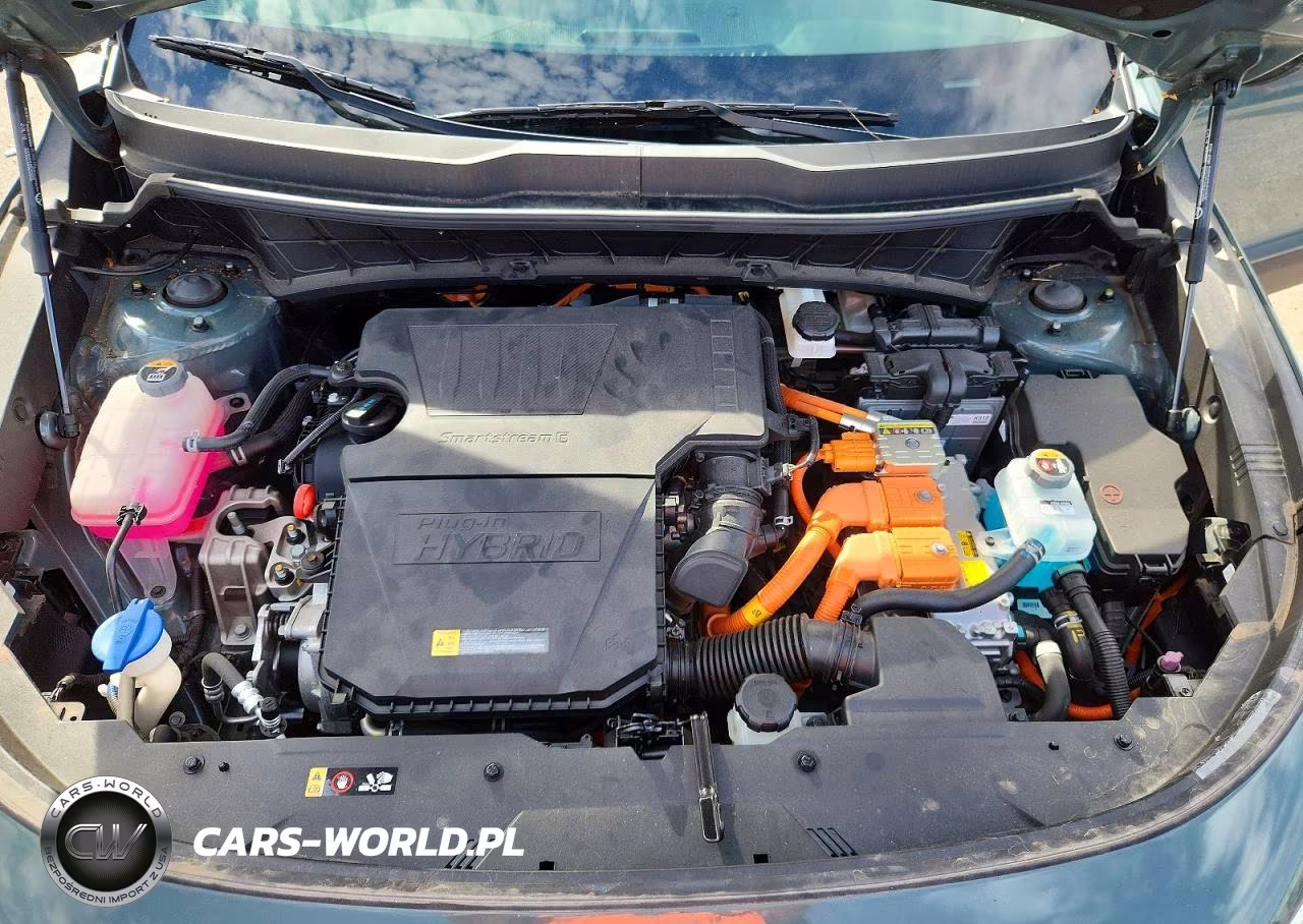 2024 Kia Niro Ex VIN:KNDCS3LF4R5162528 - 12
