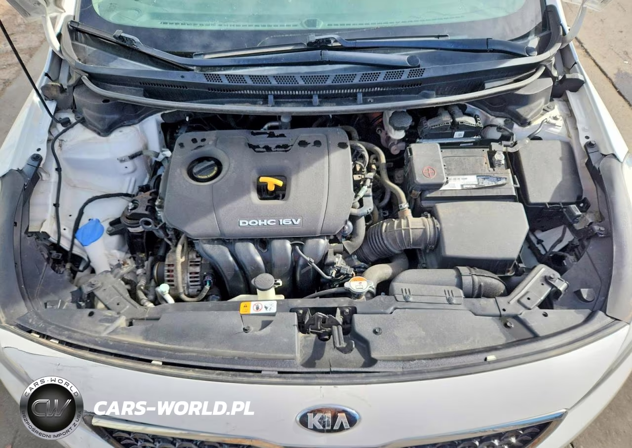 2018 Kia Forte Lx VIN:3KPFL4A73JE164663 - 11