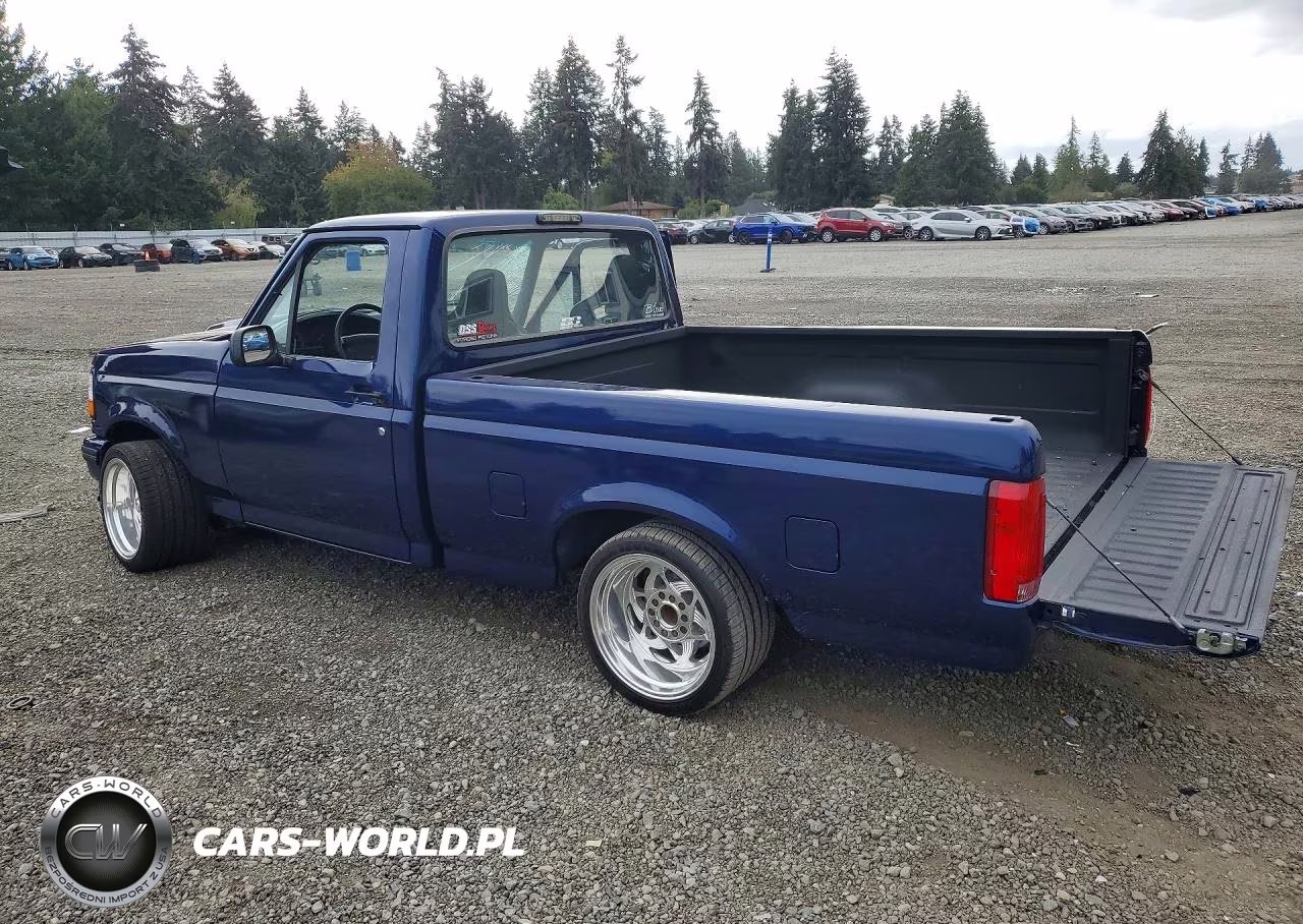 1996 Ford F150 VIN:1FTEF15N6TNA04107 - 2