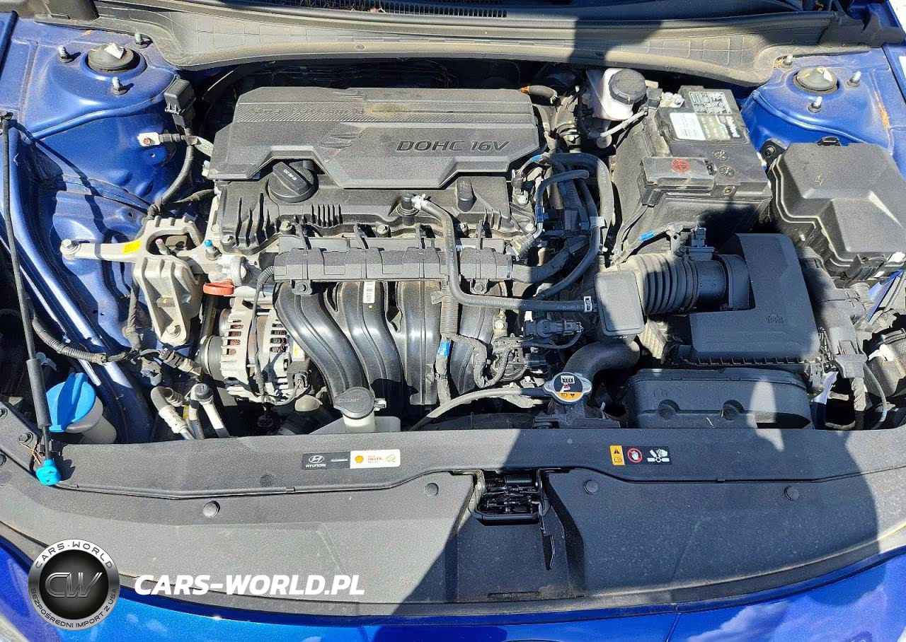 2021 Hyundai Elantra Limited VIN:KMHLP4AG5MU171882 - 11