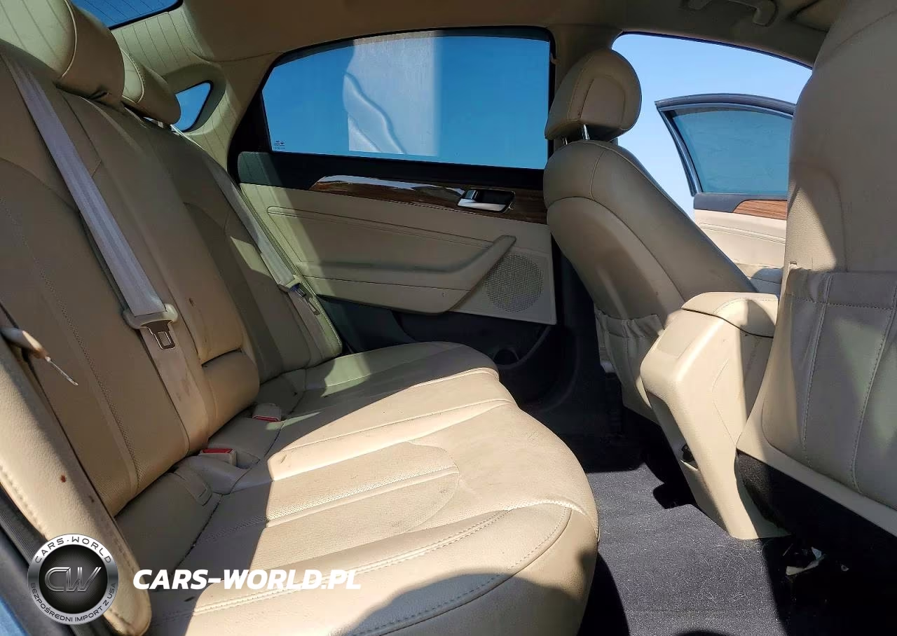 2015 Hyundai Sonata Eco VIN:5NPE24AA4FH117428 - 10