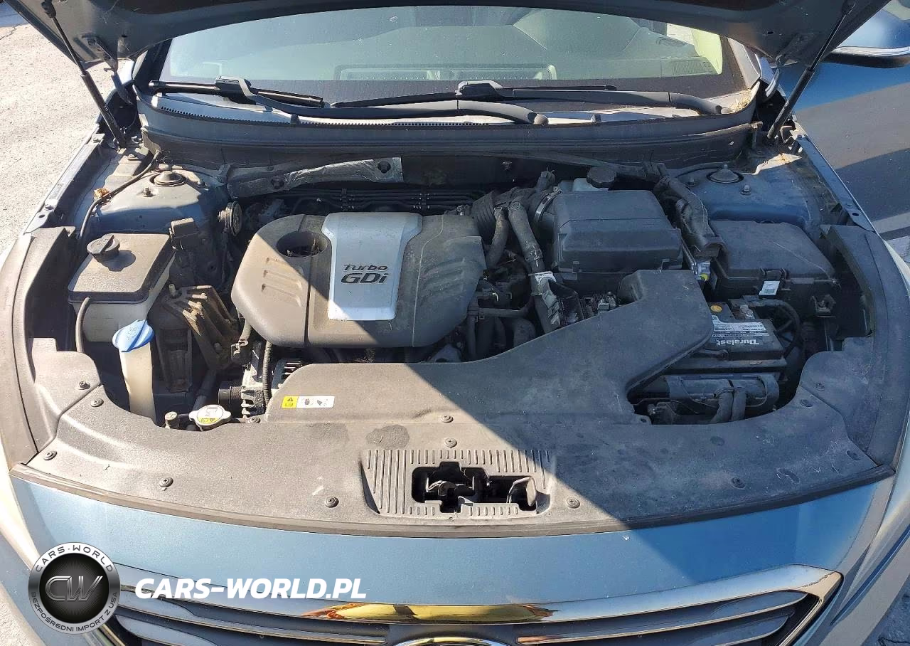 2015 Hyundai Sonata Eco VIN:5NPE24AA4FH117428 - 11
