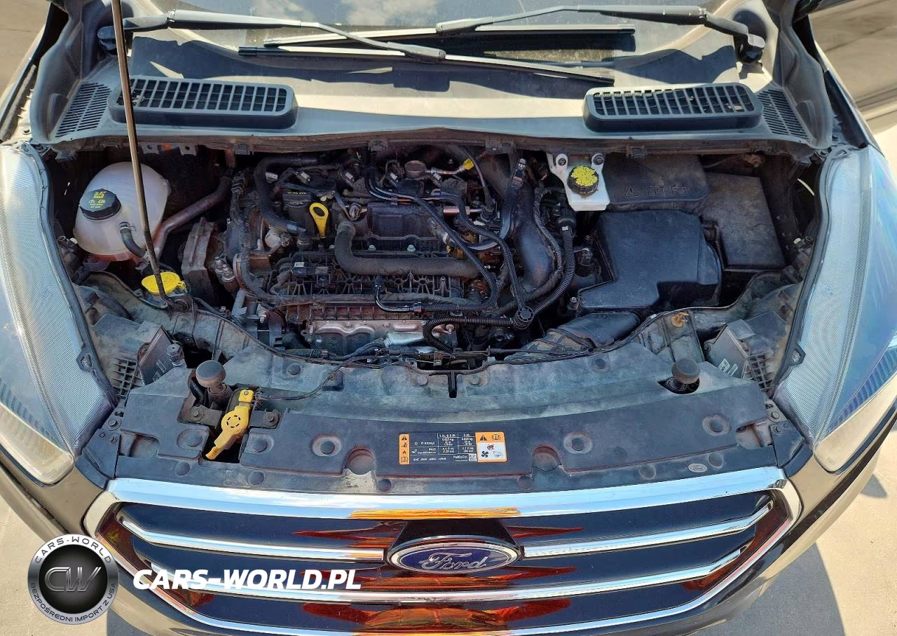 2019 Ford Escape Se VIN:1FMCU0GD4KUB64031 - 12