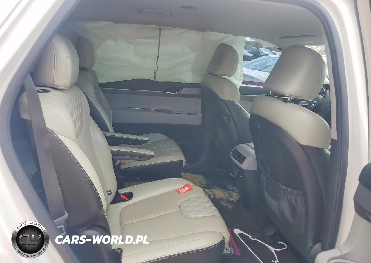 2020 Hyundai Palisade Sel VIN:KM8R24HE3LU037030 - 10
