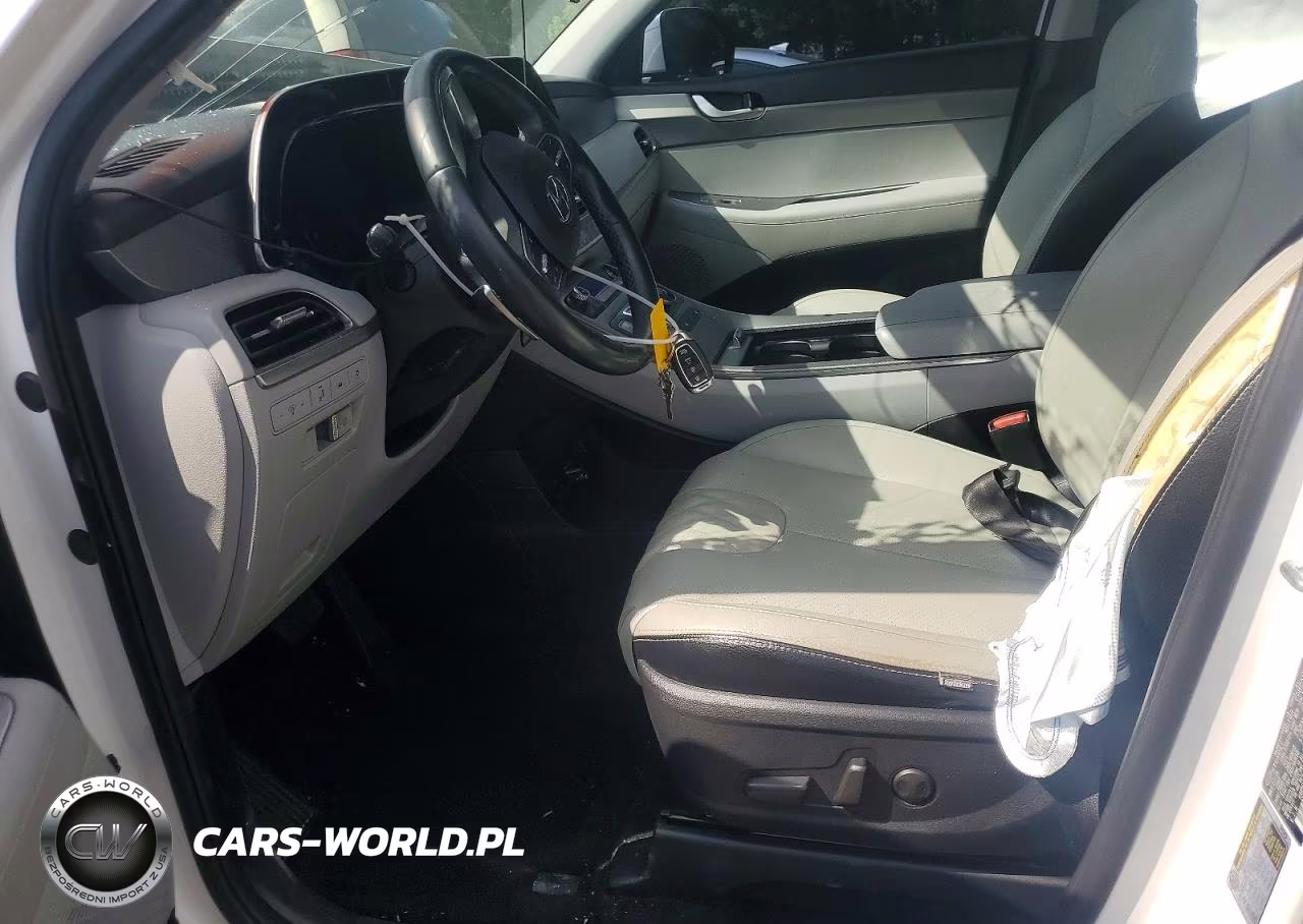 2020 Hyundai Palisade Sel VIN:KM8R24HE3LU037030 - 7