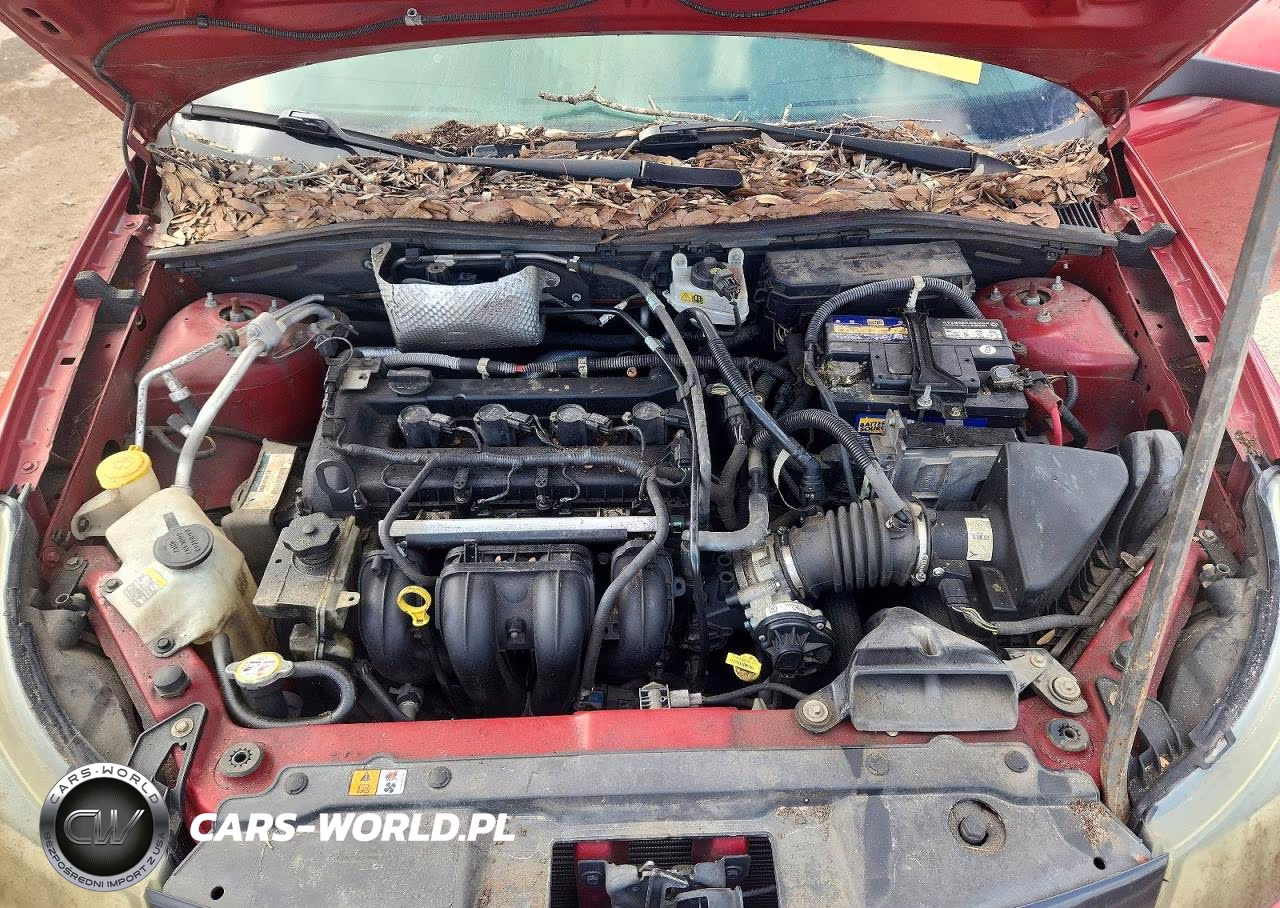 2010 Ford Focus Ses VIN:1FAHP3GN4AW182999 - 11