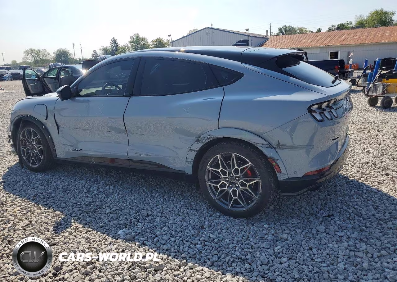 2024 Ford Mustang Mach-E Gt VIN:3FMTK4SX3RMA46016 - 2