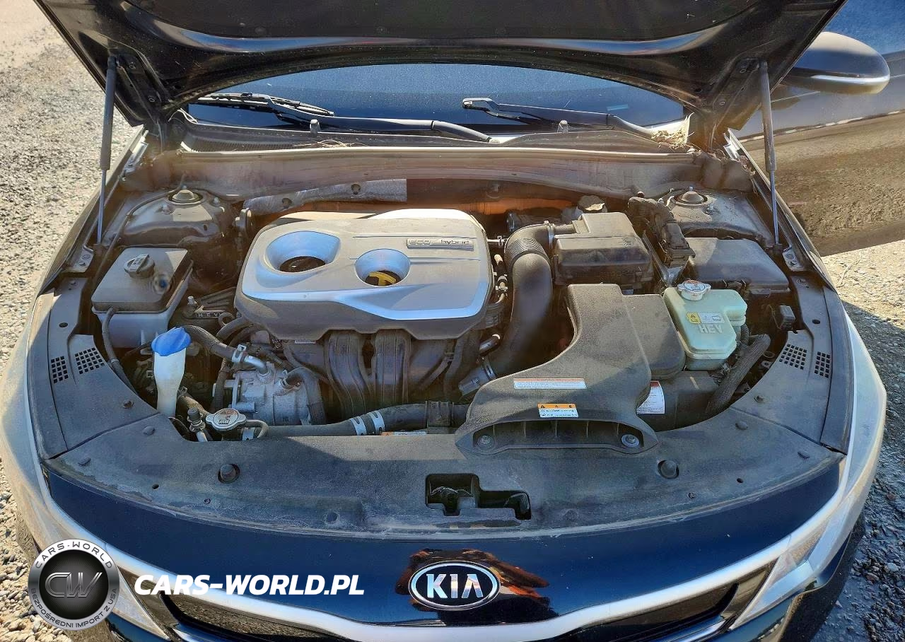 2017 Kia Optima Hybrid VIN:KNAGT4LC1H5008736 - 11