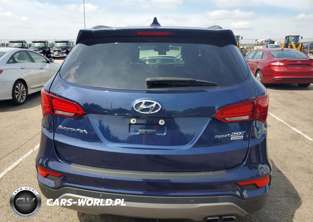 2017 Hyundai Santa Fe Sport 2.0T Ultimate VIN:5XYZW4LA1HG456452 - 6