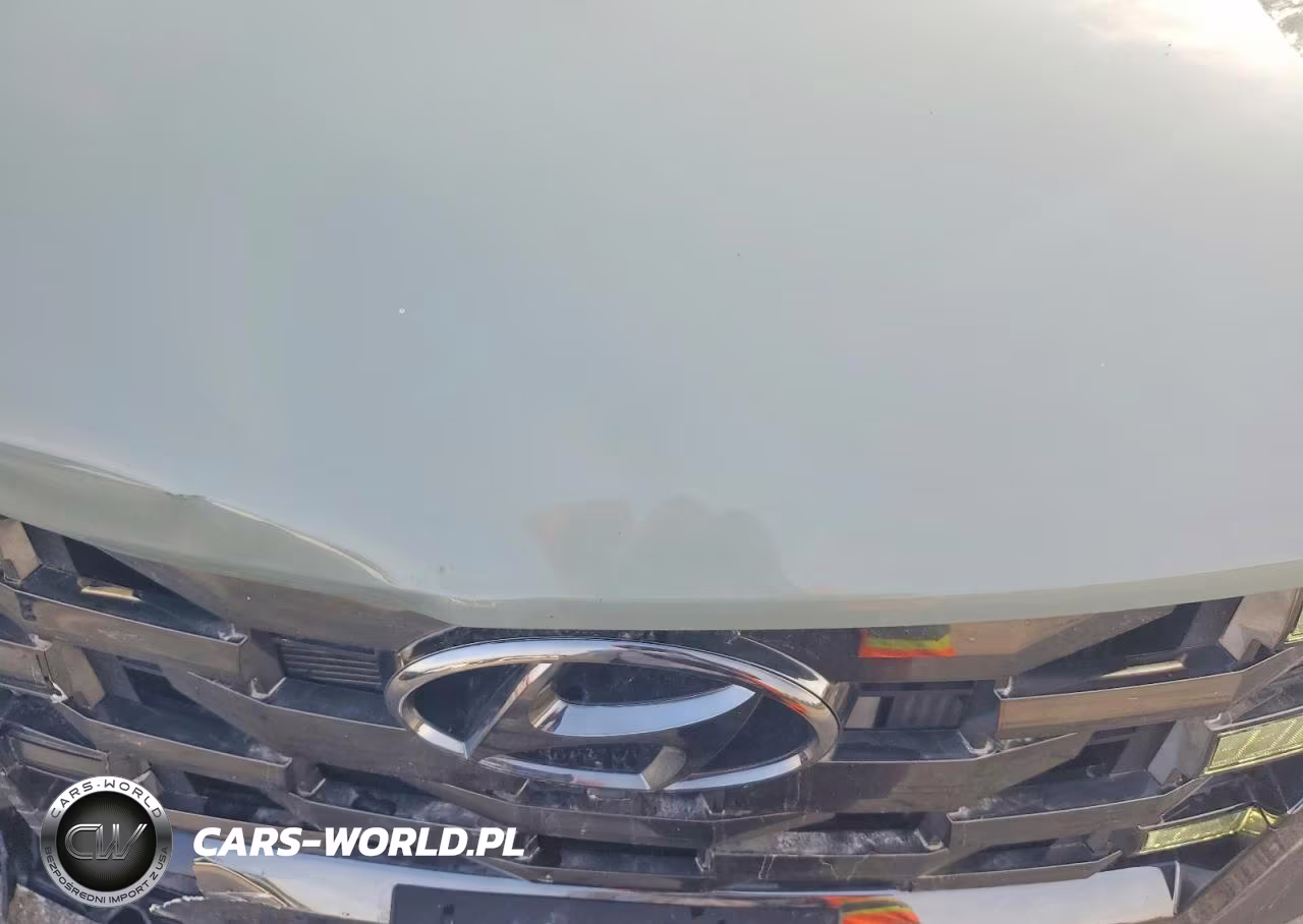 2024 Hyundai Santa Cruz Limited VIN:5NTJEDAF0RH086542 - 12