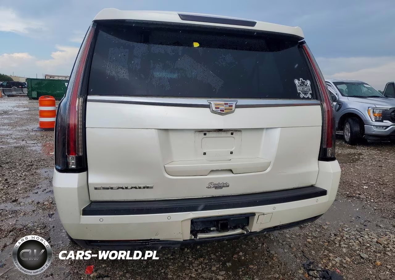 2015 Cadillac Escalade Esv Luxury VIN:1GYS3SKJ8FR630929 - 6