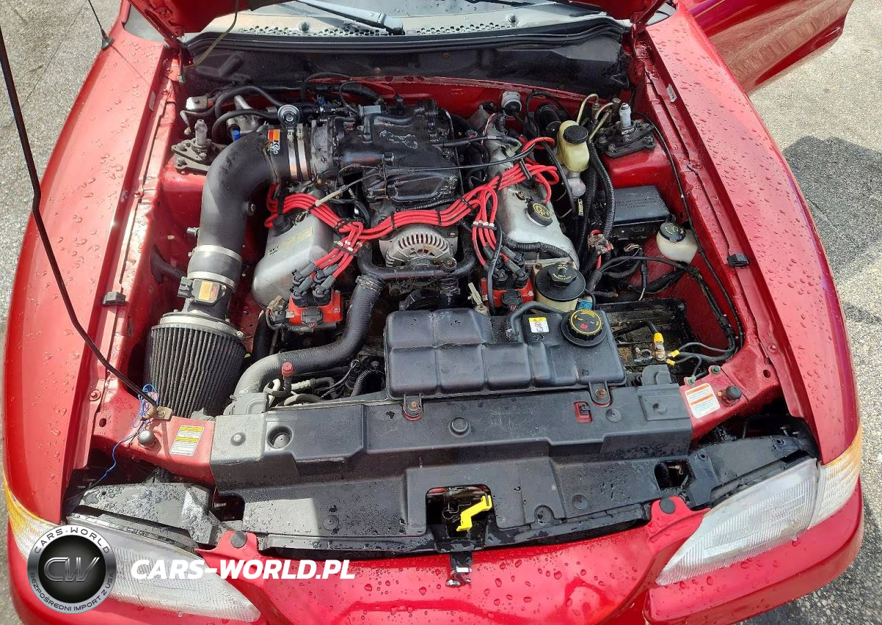 1998 Ford Mustang Cobra VIN:1FAFP46V0WF178728 - 11