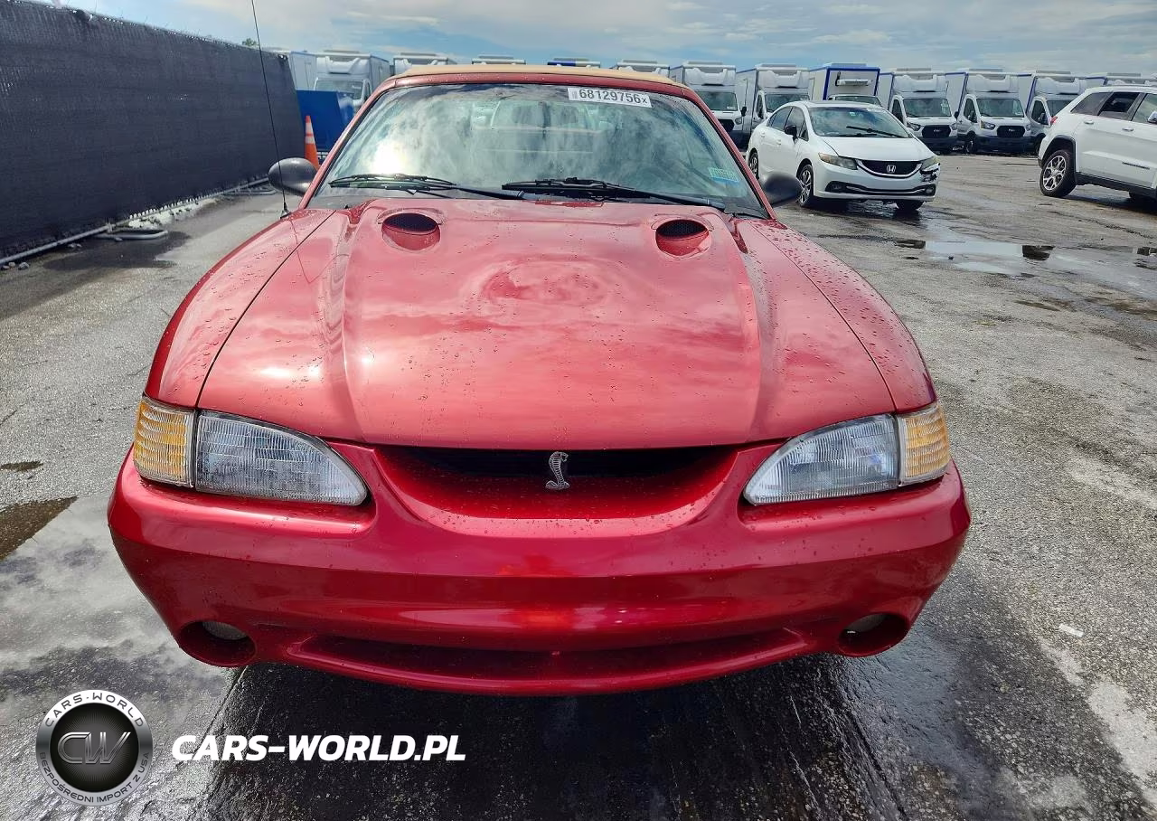 1998 Ford Mustang Cobra VIN:1FAFP46V0WF178728 - 5