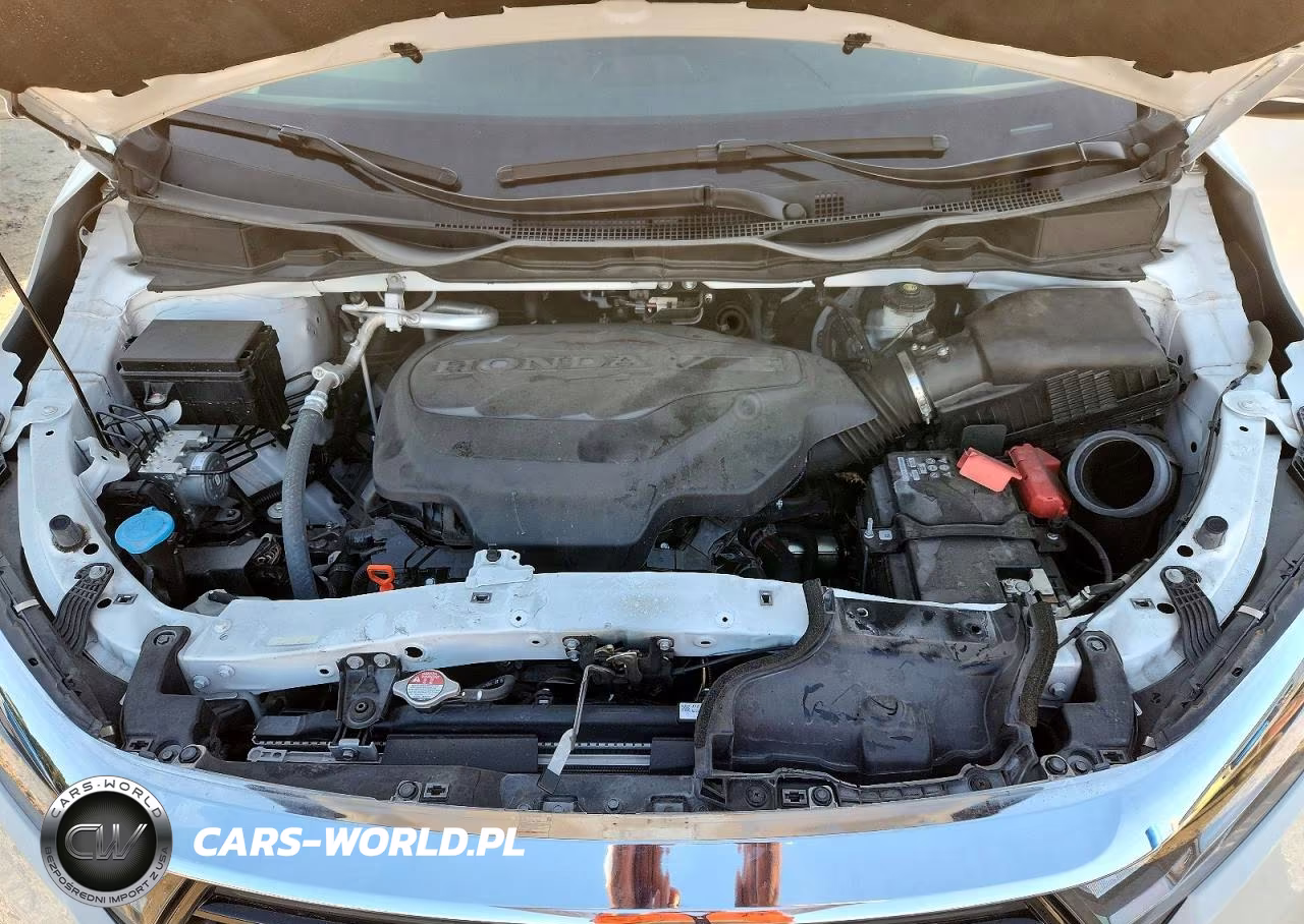 2024 Honda Odyssey Exl VIN:5FNRL6H61RB053489 - 12