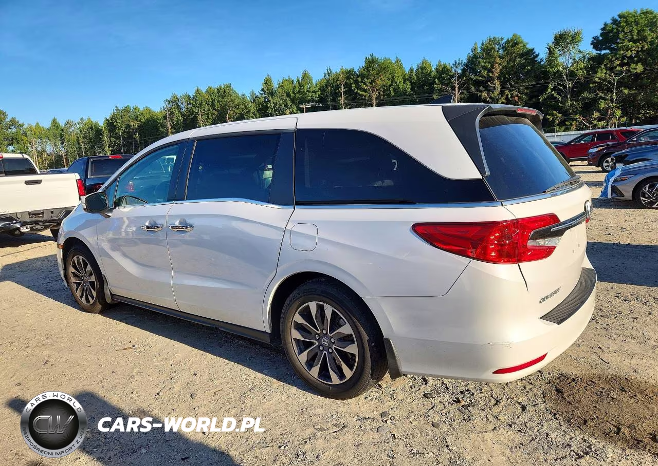 2024 Honda Odyssey Exl VIN:5FNRL6H61RB053489 - 2