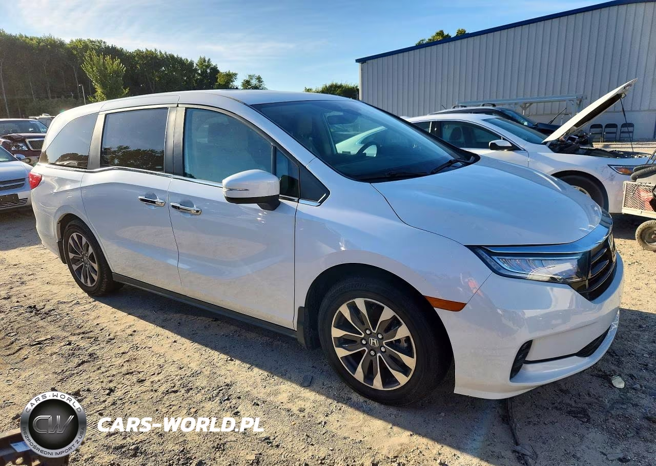 2024 Honda Odyssey Exl VIN:5FNRL6H61RB053489 - 4
