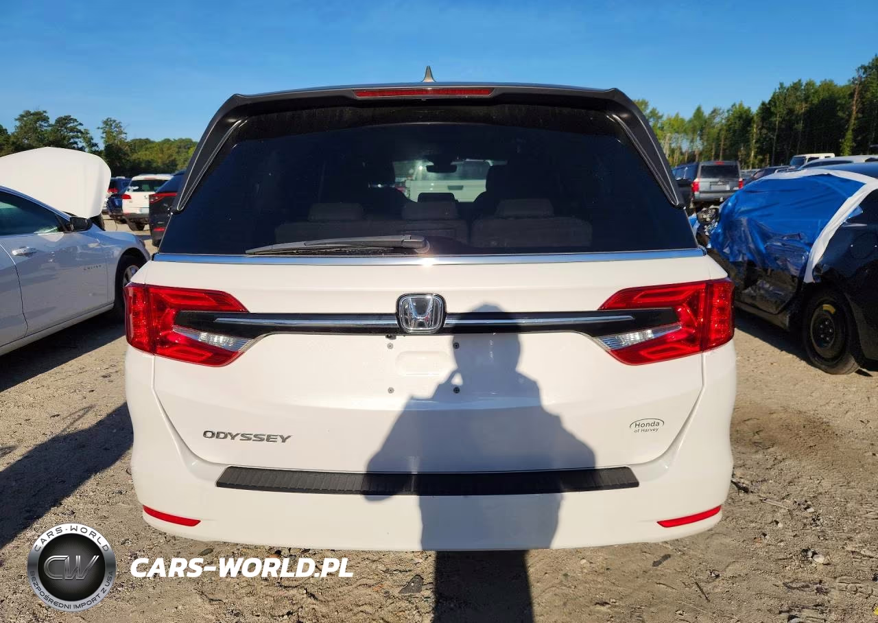 2024 Honda Odyssey Exl VIN:5FNRL6H61RB053489 - 6