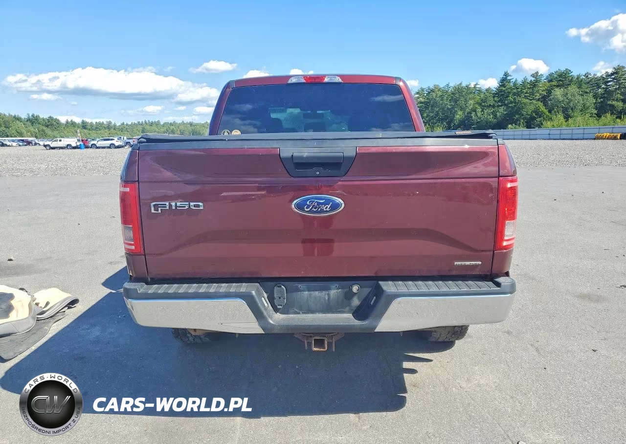2015 Ford F150 Supercrew VIN:1FTEW1EF3FFB50858 - 6