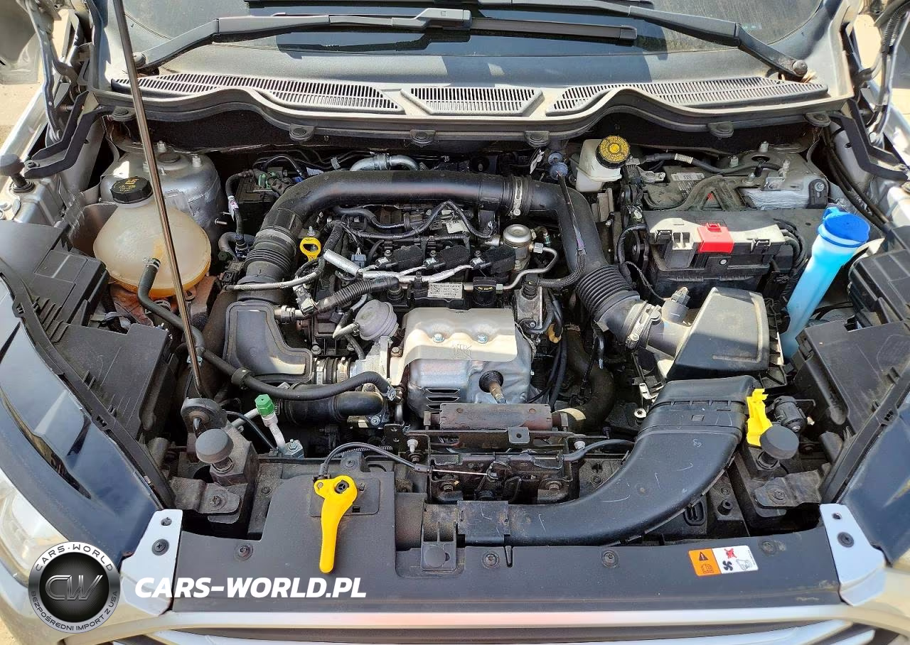 2019 Ford Ecosport Se VIN:MAJ3S2GEXKC282563 - 11