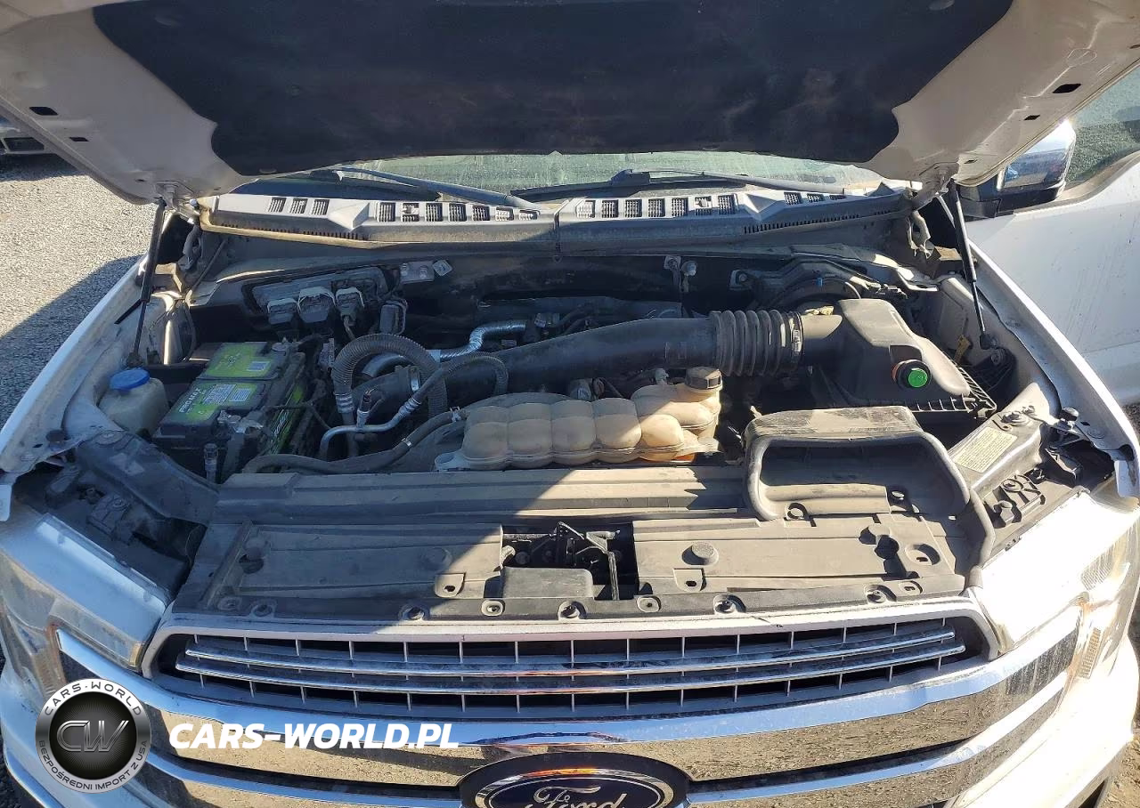 2019 Ford F150 Supercrew VIN:1FTFW1E12KFC46824 - 11