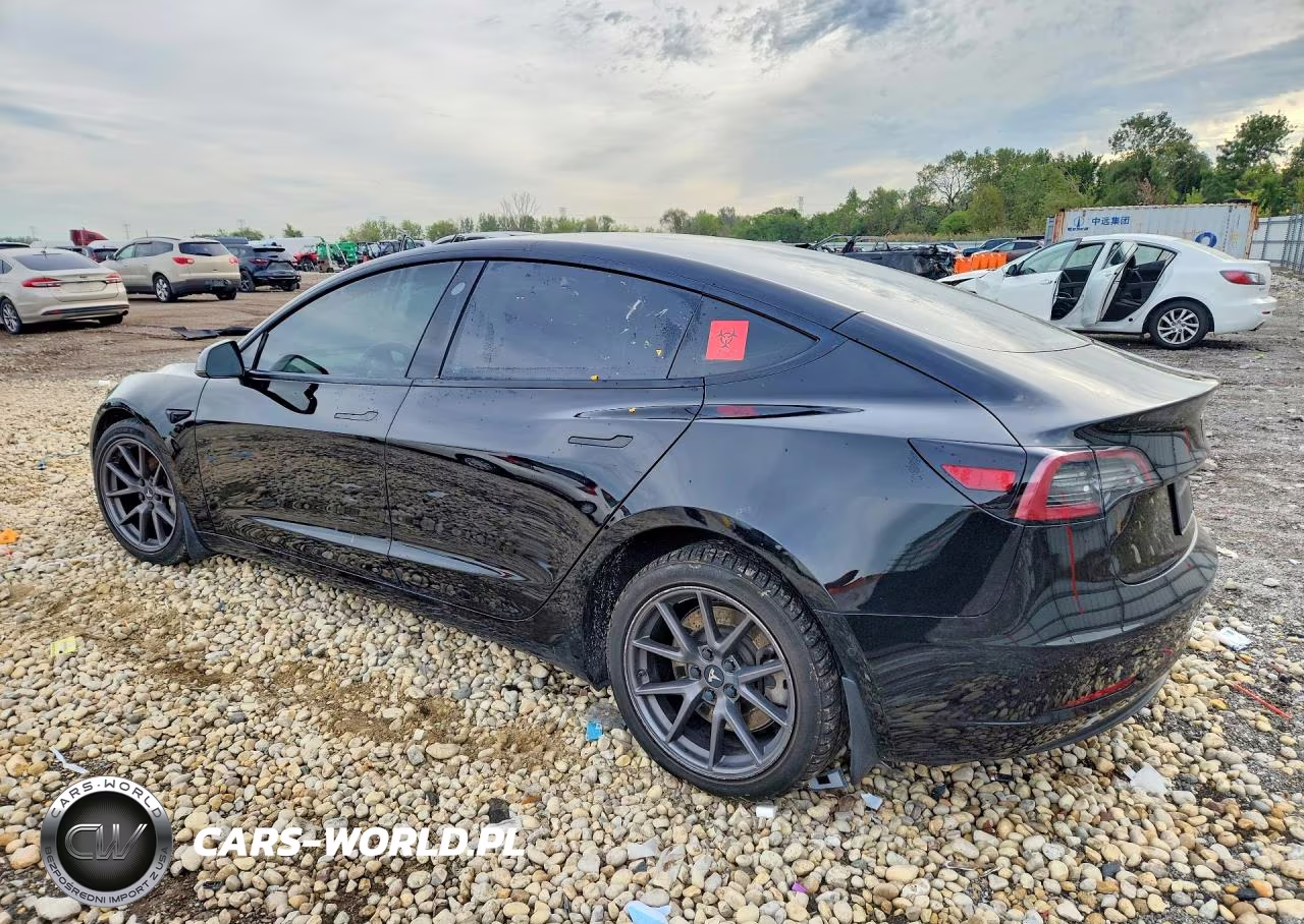 2021 Tesla Model 3 VIN:5YJ3E1EA7MF991095 - 2